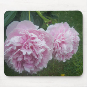 Tapis De Souris Pies roses