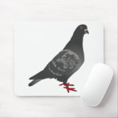 Tapis De Souris Pigeon (Avec souris)