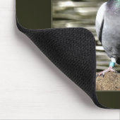 Tapis De Souris Pigeon (Coin)