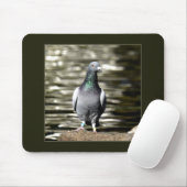 Tapis De Souris Pigeon (Avec souris)
