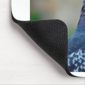 Tapis De Souris Pigeon (Coin)