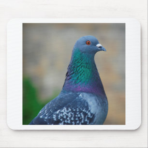 Tapis De Souris Pigeon