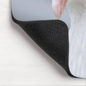 Tapis De Souris Pigeon (Coin)