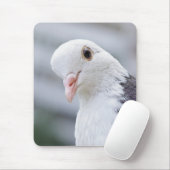 Tapis De Souris Pigeon (Avec souris)