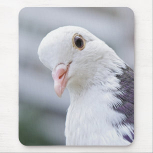 Tapis De Souris Pigeon