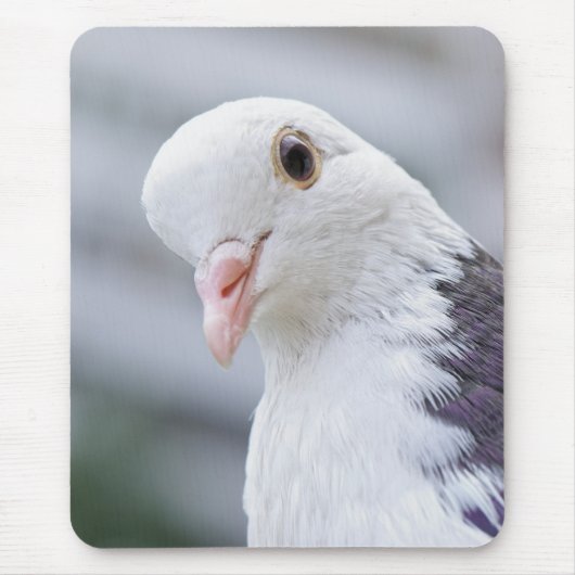 Tapis De Souris Pigeon (Devant)