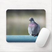 Tapis De Souris Pigeon (Avec souris)