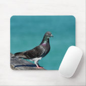 Tapis De Souris Pigeon biset (Avec souris)