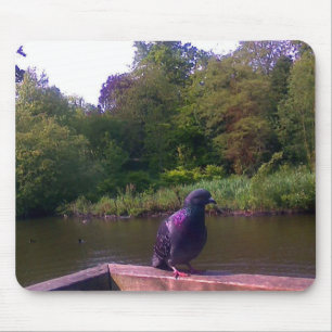 Tapis De Souris Pigeon curieux