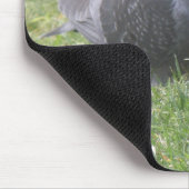 Tapis De Souris Pigeon Mousepad (Coin)