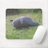 Tapis De Souris Pigeon Mousepad (Avec souris)