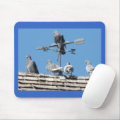 Tapis De Souris pigeons (Avec souris)