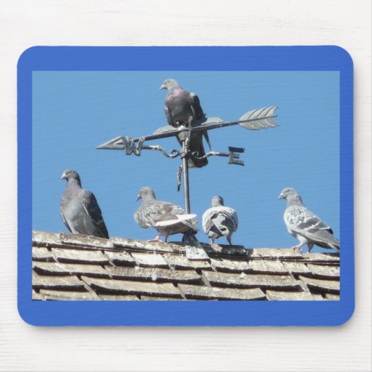 Tapis De Souris pigeons (Devant)