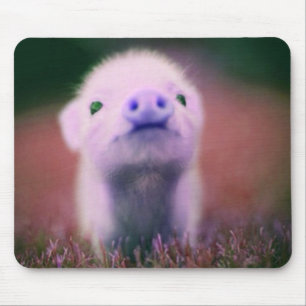 Tapis De Souris Pigsy pourpre