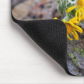 Tapis De Souris Pika (Coin)