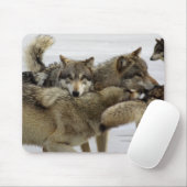 Tapis De Souris Pile de loup (Avec souris)
