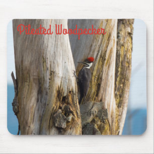Tapis De Souris Pileated Woodpecker