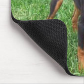 Tapis De Souris pincher_smaller (Coin)