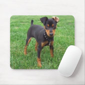 Tapis De Souris pincher_smaller (Avec souris)