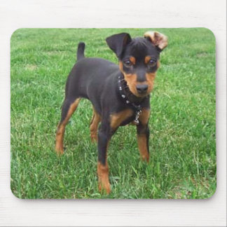 Tapis De Souris pincher_smaller