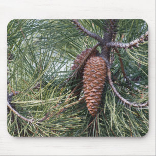 Tapis De Souris Pinecone sur le pin