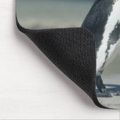 Tapis De Souris Pingouin africain (Coin)