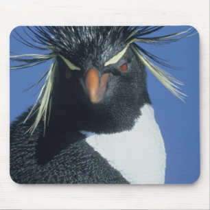 Tapis De Souris Pingouin de Rockhopper (Eudyptes chrysocome)