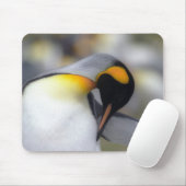 Tapis De Souris Pingouin de roi (Avec souris)