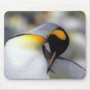 Tapis De Souris Pingouin de roi