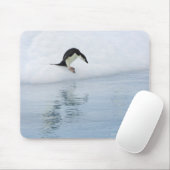 Tapis De Souris Pingouin Gentoo (Pygoscelis papua) (Avec souris)