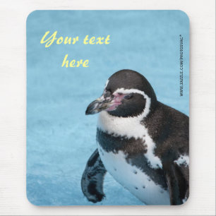 Tapis De Souris Pingouin magellanique Mousepad