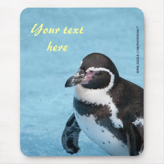 Tapis De Souris Pingouin magellanique Mousepad (Devant)