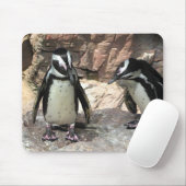 Tapis De Souris Pingouins (Avec souris)