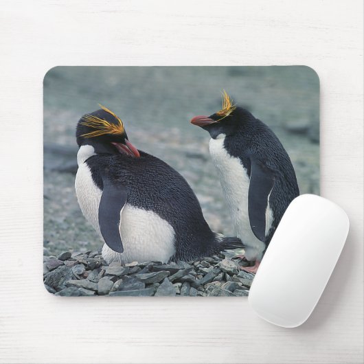 Tapis De Souris Pingouins de macaronis (Avec souris)