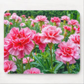 Tapis De Souris Pink Carnations Mouse Pad (Devant)