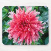Tapis De Souris Pink Dahlia Photographie, Fleur canadienne (Devant)
