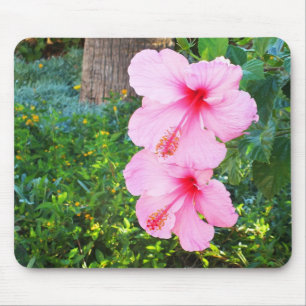 Tapis De Souris Pink Hibiscus flowers
