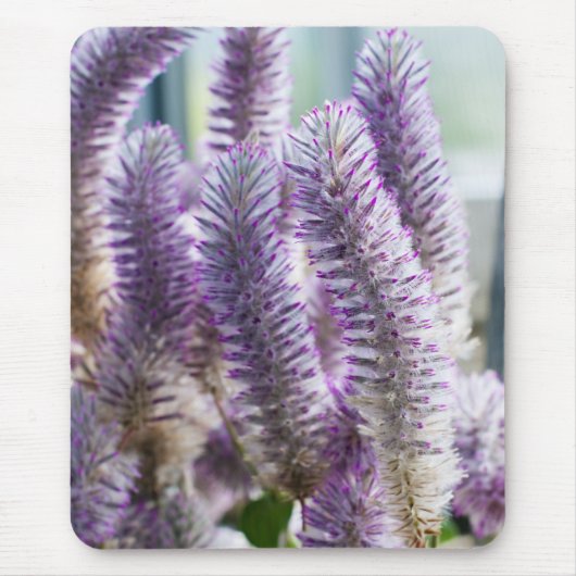 Tapis De Souris Pink Mulla Mulla Mousepad (Devant)