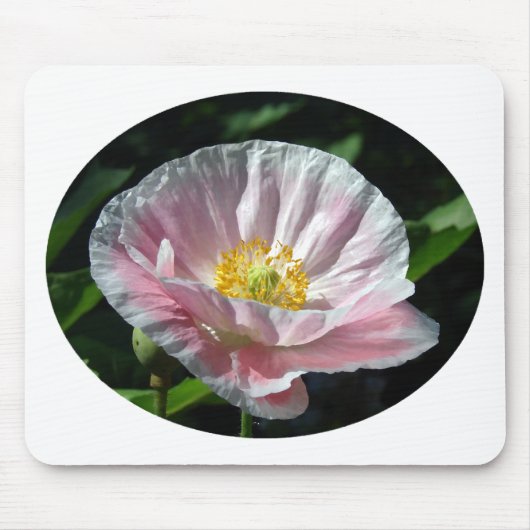 Tapis De Souris Pink poppy (Devant)