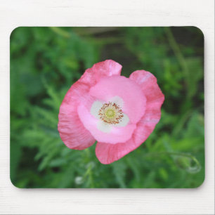 Tapis De Souris Pink poppy