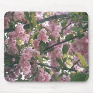 Tapis De Souris pinkspringtrees 001