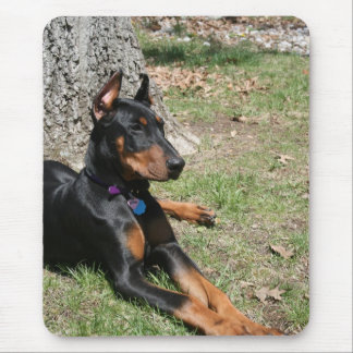 Tapis De Souris Pinscher de dobermann