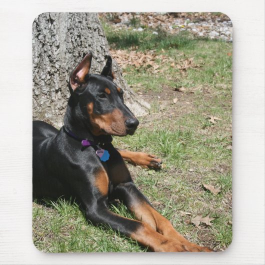 Tapis De Souris Pinscher de dobermann (Devant)