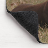 Tapis De Souris Pinscher femelle pointu de dobermann de rouge et (Coin)