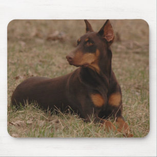 Tapis De Souris Pinscher femelle pointu de dobermann de rouge et