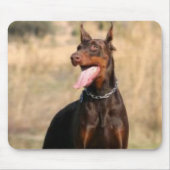Tapis De Souris Pinscher Mousepad de dobermann (Devant)