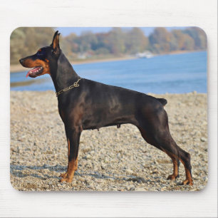 Tapis De Souris Pinscher noir et tan Doberman sur le rivage