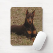 Tapis De Souris Pinscher polychrome de dobermann de rouge et de (Avec souris)