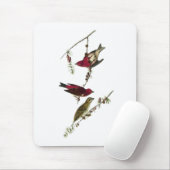 Tapis De Souris Pinson pourpre d'Audubon (Avec souris)