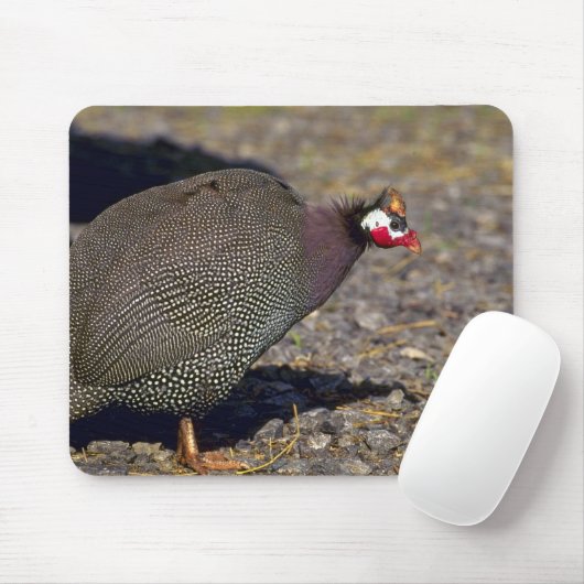 Tapis De Souris Pintade (Avec souris)